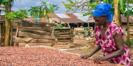 Combined industry action on improving farmer pay for the cocoa sector remains crucial for its future