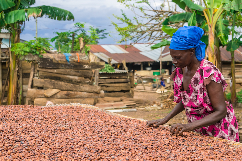 Combined industry action on improving farmer pay for the cocoa sector remains crucial for its future